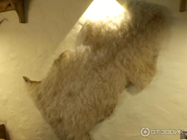 Сеть хинкальных Старик Хинкалыч (Россия, Санкт Петербург) фото