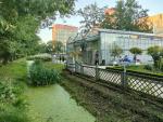 Ботанический сад МГУ (Аптекарский огород) (Россия, Москва) фото