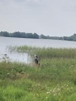 Круизная компания "Инфофлот" (Россия, Москва) фото