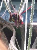 Московский Зоопарк (Россия, Москва) фото