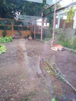 Московский Зоопарк (Россия, Москва) фото