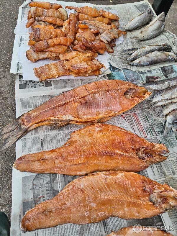 Экскурсия Город Чайковский, здравствуй (Россия, Пермский край)