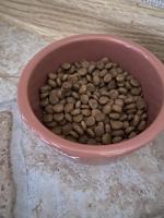 Сухой корм для кошек Premier фото