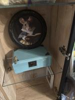 Кухонный гарнитур МногоКухни фото