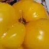 Колоксана