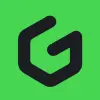 ggsel.net