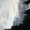 Kapybara