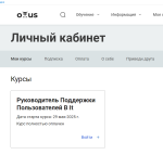 Otus.ru - онлайн-образование фото