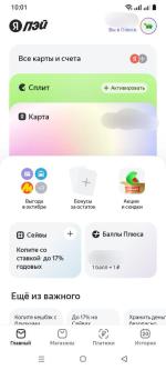 Платежная система Яндекс. Пэй фото