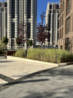 Застройщик Sezar Group (Россия, Москва) фото