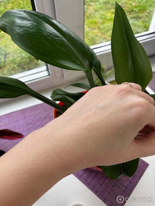 Дневной крем против пигментации Vichy Collagen SPF 50 с витамином B3 фото