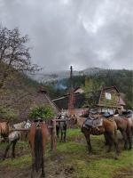 Конный тур по горному Алтаю "Маяк Алтай" (Россия, Алтайский край) фото