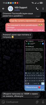 Платежная система ViDiPay фото