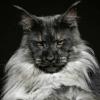 nastya-travel-k