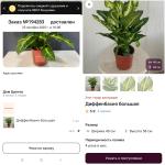 Флаувау - маркетплейс цветов и подарков фото