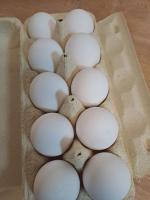 Яйца куриные "Щедрый год" фото