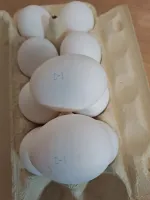 Яйца куриные "Щедрый год" фото