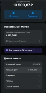 Ozon Рассрочка фото