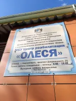 МБУ города Новосибирска "Центр реабилитации детей и подростков с ограниченными возможностями "Олеся"" (Россия, Новосибирск) фото