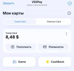 Платежная система ViDiPay фото