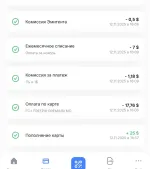 Платежная система ViDiPay фото