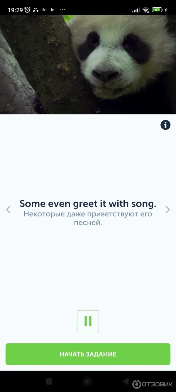 Puzzle-english.com - онлайн изучение английского языка фото