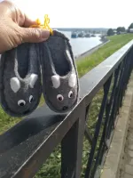 Круизная компания "Инфофлот" (Россия, Москва) фото