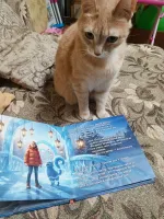 Сказкисомной.рф - сервис создания персонализированных книг для детей фото