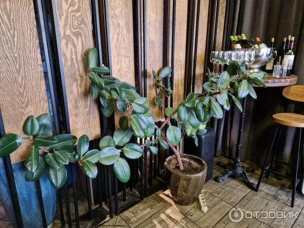 Кафе-бар Зая (Россия, Екатеринбург) фото