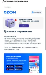 Служба доставки Ozon (Россия) фото