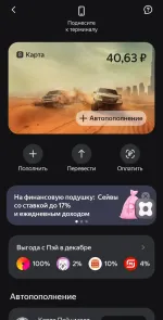 Платежная система Яндекс. Пэй фото