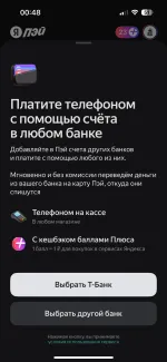 Платежная система Яндекс. Пэй фото