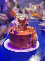 Tortoevsky.ru - торты на заказ "Гений Тортоевский" фото