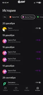 Платежная система Яндекс. Пэй фото