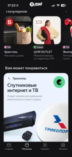 Платежная система Яндекс. Пэй фото