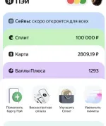 Платежная система Яндекс. Пэй фото